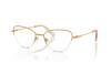 Brille Swarovski SK 1010 (4004)