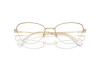 Brille Swarovski SK 1010 (4013)