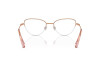 Brille Swarovski SK 1010 (4014)