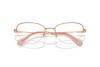 Brille Swarovski SK 1010 (4014)