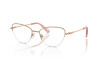 Brille Swarovski SK 1010 (4014)