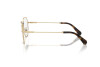 Lunettes de vue Swarovski SK 1011 (4013)