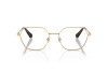 Lunettes de vue Swarovski SK 1011 (4013)