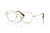 Lunettes de vue Swarovski SK 1011 (4013)