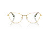 Lunettes de vue Swarovski SK 1012 (4004)