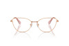 Lunettes de vue Swarovski SK 1012 (4014)