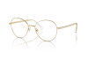 Brille Swarovski SK 1013 (4013)