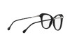 Eyeglasses Swarovski SK 2012 (1038)