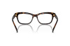 Brille Swarovski SK 2022 (1002)