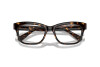 Brille Swarovski SK 2022 (1002)