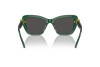 Солнцезащитные очки Swarovski SK 6018 (104587)