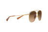 Sonnenbrille Swarovski SK 7005 (400474)