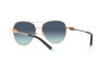 Occhiali da Sole Tiffany TF 3083B (61059S)