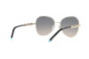 Lunettes de soleil Tiffany TF 3086 (61791U)