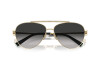 Sunglasses Tiffany TF 3101B (60213C)