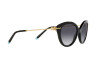 Lunettes de soleil Tiffany TF 4187 (80013C)