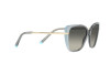 Sunglasses Tiffany TF 4190 (834611)