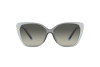 Sunglasses Tiffany TF 4190 (834611)