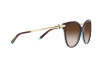 Sunglasses Tiffany TF 4193B (81343B)