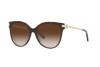 Sunglasses Tiffany TF 4193B (81343B)