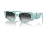 Occhiali da Sole Tiffany TF 4208U (83883C)