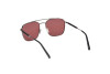 Sunglasses Tod's TO0379 (08S)