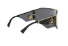 Occhiali da Sole Versace VE 2220 (100287)