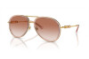 Sunglasses Versace VE 2260 (100213)