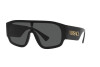 Sonnenbrille Versace VE 4439 (GB1/87)