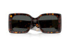 Zonnebril Versace VE 4467U (108/87)