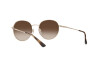 Sunglasses Vogue VO 4206S (848/13)