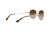 Sunglasses Vogue VO 4206S (848/13)