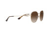 Sunglasses Vogue VO 4206S (848/13)