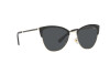 Sunglasses Vogue VO 4251S (352/87)