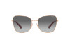 Sunglasses Vogue VO 4277SB (515211)