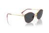 Sunglasses Vogue VO 4282S (280/87)