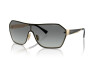 Sunglasses Vogue VO 4302S (848/11)