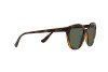 Sunglasses Vogue VO 5427S (W65671)