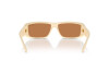 Sunglasses Vogue VO 5442SM (317073)