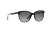 Sunglasses Vogue VO 5453S (W44/11)