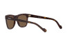 Sunglasses Vogue VO 5465S (W65673)