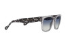 Sunglasses Vogue VO 5490S (28204L)