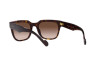 Sunglasses Vogue VO 5490S (W65613)