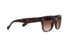 Sunglasses Vogue VO 5490S (W65613)