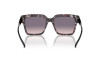 Sunglasses Vogue VO 5553S (314936)