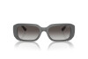 Sunglasses Vogue VO 5565S (31258G)