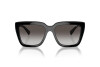 Sunglasses Vogue VO 5575SB (W44/8G)