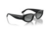 Sunglasses Vogue VO 5585S (W44/11)