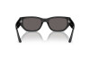 Sunglasses Vogue VO 5586S (W44/87)