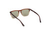 Sonnenbrille Web WE0363 (50N)